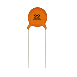 22 pF Ceramic